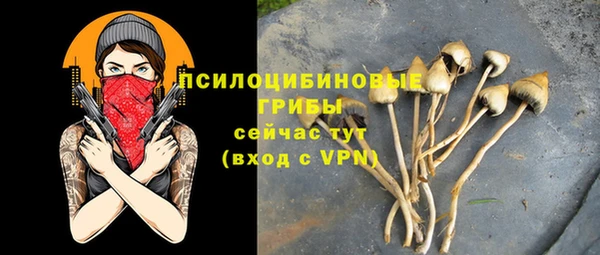 ПСИЛОЦИБИНОВЫЕ ГРИБЫ Аркадак