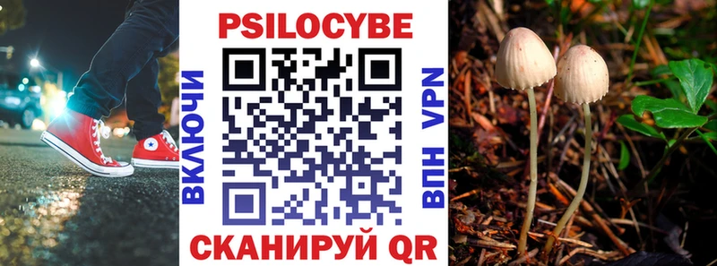 Псилоцибиновые грибы Cubensis  Суровикино 